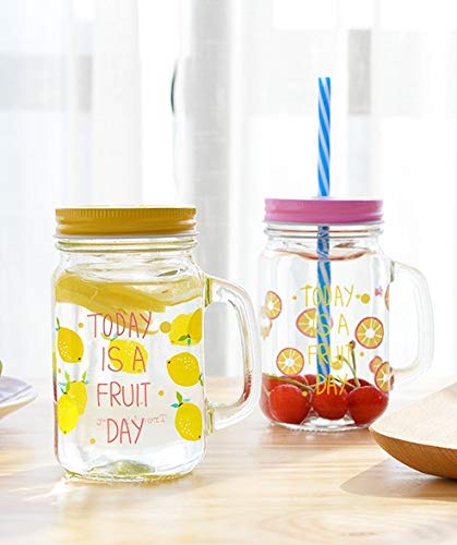 Fruity Glass Mason Jar Mugs with Lid and Straw For Milk, Milkshakes Juices 480 ml